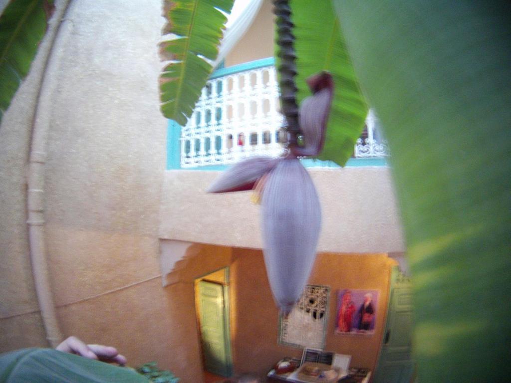 Riad Dar Mchicha Марракеш Экстерьер фото