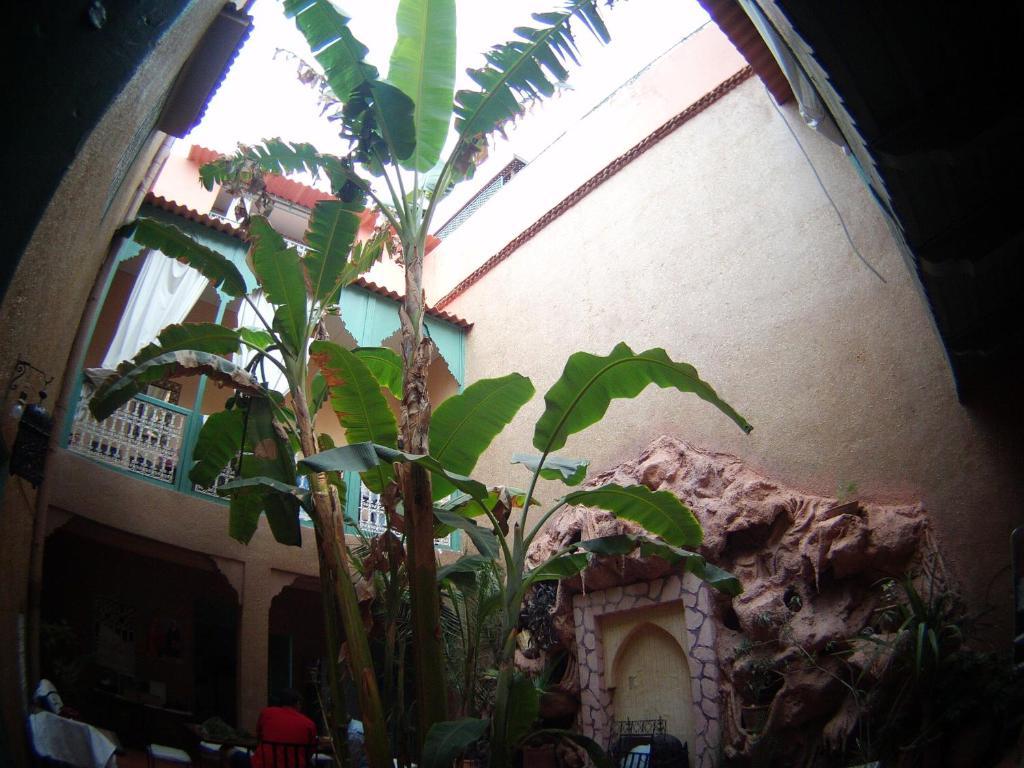 Riad Dar Mchicha Марракеш Экстерьер фото