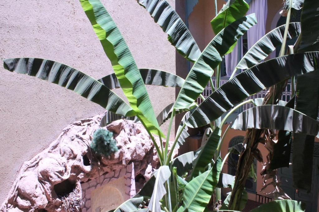 Riad Dar Mchicha Марракеш Экстерьер фото